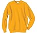 Hanes Men