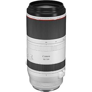 Canon RF100-500mm F4.5-7.1 L is USM Lens — photo 4 of 6