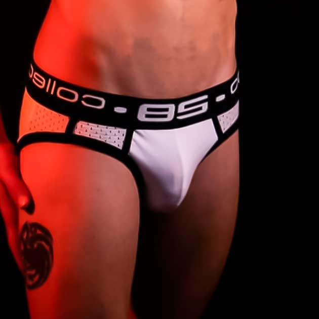 Evankin Men's Low Rise Briefs Underwear Mesh Breathable Lingerie Cotton Stretch Underpant4