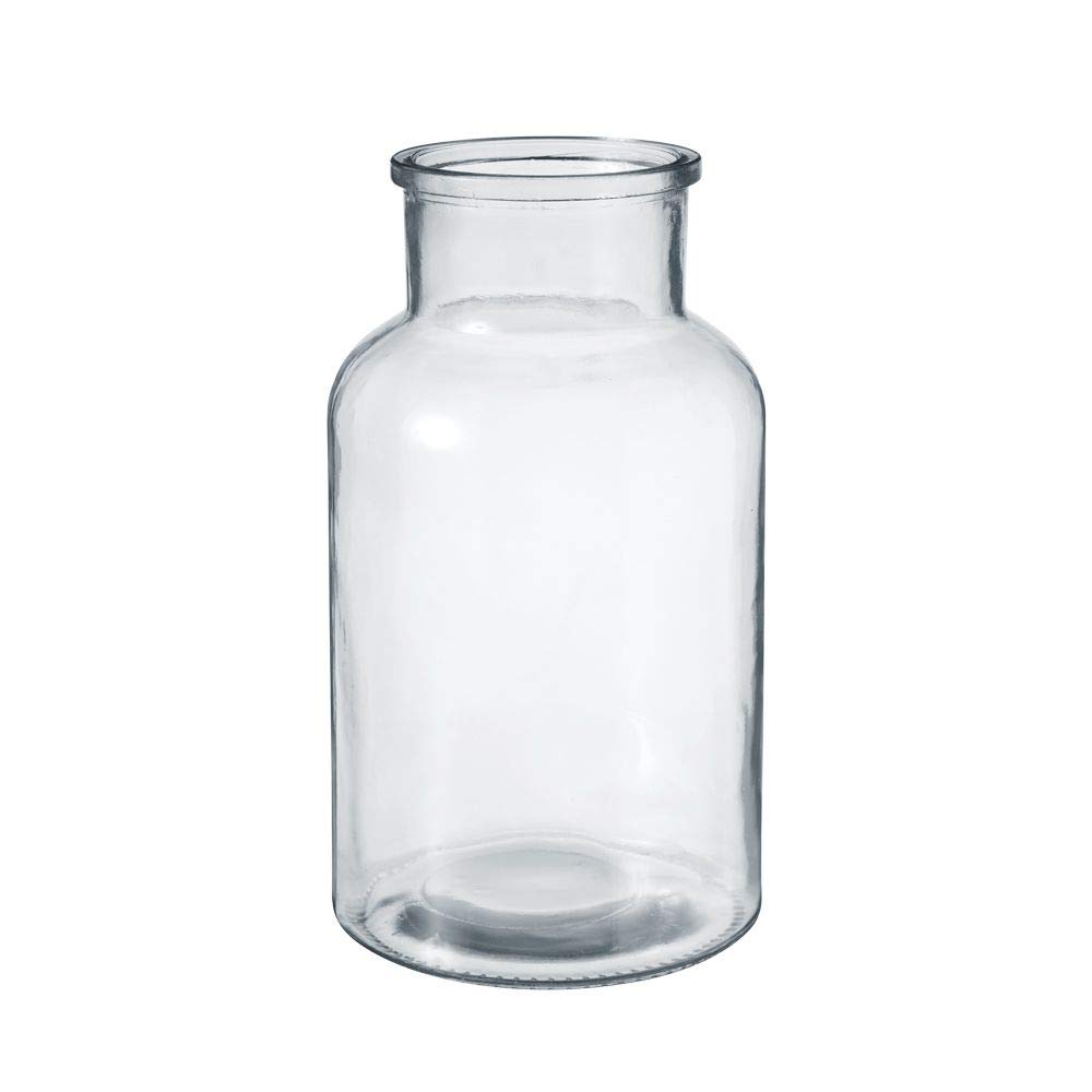 OASIS Modern Clear Glass Wide Flower Jar - Twig Stem Bouquet Display Vase (14 x 26cm)