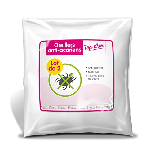 Sweetnight - Lot de 2 Oreillers | 60x60 cm | Set Anti Acariens | Doux et Moelleux | 100% Microfibre