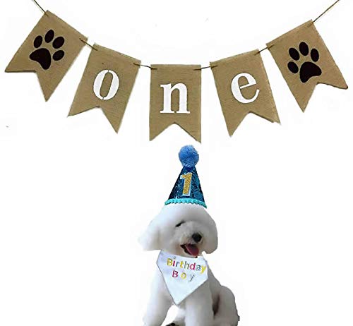 dog 1st birthday hat