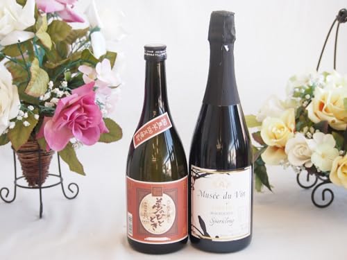 v~AȈĒƍYCZbg(MdV IAVX ubNNC[Xp[NOCh(쌧)750ml啪𑢖̂ЂƂƂ23°720ml