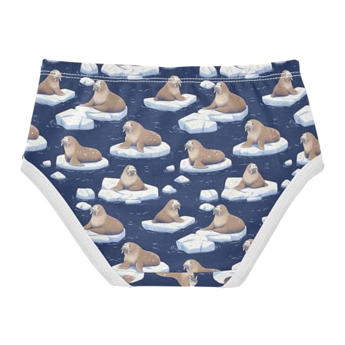 Girls Underwear Soft Cotton Walruses Kids Panties in Sizes 2/3t, 4t, 5t, 6 and 82
