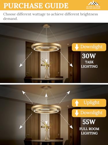 Image of LED Ring Chandelier Brass Gold Chandeliers Dimmable