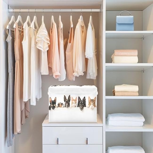 xigua A Group Of Silly and Cute Cats and Dogs Collapsible Storage Bin with Lid,Decorative Storage Box Cube Organizer Container Storage Baskets for Bedroom Closet Living Room121