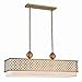 Livex Lighting 41106-33 Linear Chandelier