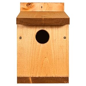Happy Beaks Classic Garden Bird Nesting Box Traditional Redwood Wooden Bird House 30mm Hole ideal for Smaller Birds (Classic Nest Box x1)
