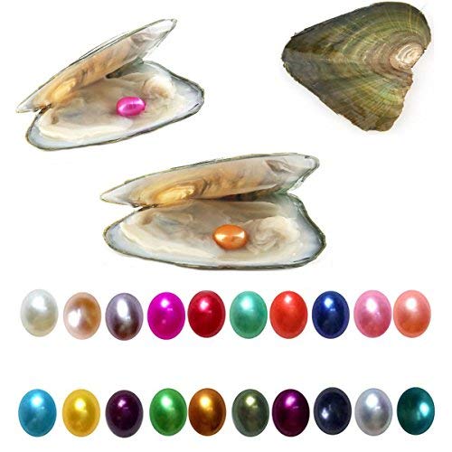 Oyster Pearl Freshwater Cultured for Jewelry Making Pearls Inside Oyster with Necklace with 7-8 mm Oval Oyster Pearl Bulk Color 10 PCS