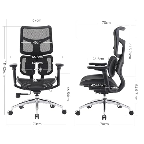 Sihoo Bürostuhl Doro S100 mit dualer dynamischer Lordosenstütze und 4D-Armlehnen