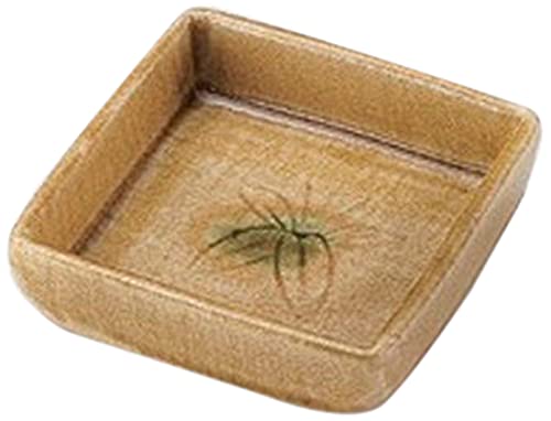 10Zbg ԓ ˊp [11.5 x 11.5 x 3.3cm] y 葢 y  aH HX Ɩp  Hz