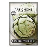 Sow Right Seeds - Green Globe Artichoke Seed for Planting Outdoor Perennial