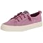 Fuschia