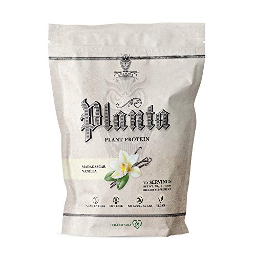 Ambrosia Planta - Plant-Based Protein Powder 20g | Dairy Free Vegan Protein Powder with BCAA Amino Acids | Keto-Friendly, No Added Sugar | 25 Servings | Vanilla
