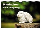 PERFEKTES GESCHENK - Kalender für Freunde und Familie, für Kinder und Erwachsene, jung und alt, zu Weihnachten, Geburtstag oder zwischendurch.
