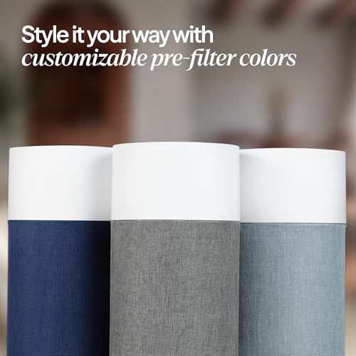 Blueair commercial air purifier