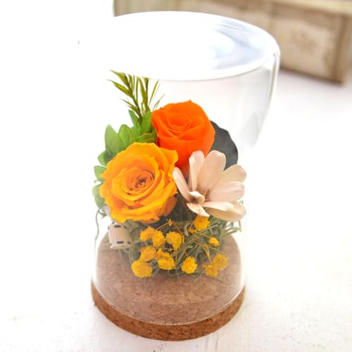 vU[uht[ KXh[ pillar ~j Mtg a ̓   킢 v`Mtg KX  җ ËH  P Ď  j  q @ (r^~)