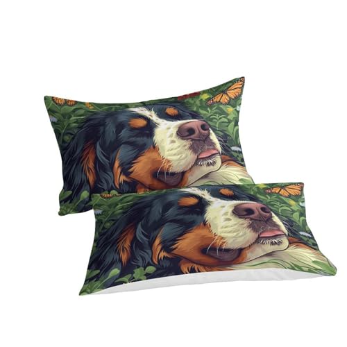 Housse de couette Bernese Mountain 3D 260x220 parure lit microfibre - 3