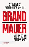 Brandmauer: Wie umgehen mit der AfD?
