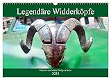 VIELFALT - Bildkalender in verschiedenen Formaten z.B. DIN A5, DIN A4, DIN A3 sowie DIN A2. Ob Naturmotiv, Gemälde oder Fotos, ideal für ein persönliches Wohlfühlambiente.