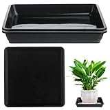 Comebachome Blumentopf-Untersetzer, 3 Stück, 24, 9 x 24, 9 cm, quadratisches Kunststoff-Pflanztablett, Wasserauffangschale für Bonsai-Blumen, Sukkulenten-Topf, Gartenbedarf, Dekor