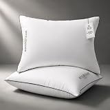 Hotel Grand Bed Pillows Queen Size Set of 2, Medium Soft Down Alternative