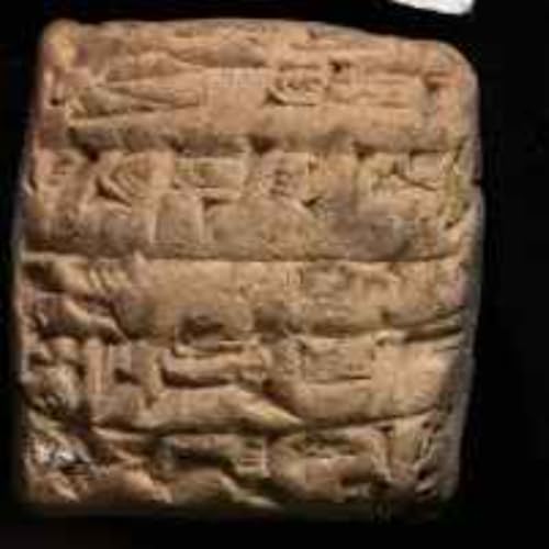 Den f&ouml;rlorade staden Irisagrid