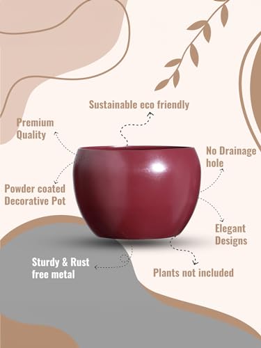 Image of Designer Metal Planter Pots for Living Room Home Decor Indoor Plants Drawing Room Balcony Office Decoration Ideas for Plants Set of 2 (Plants not Included)