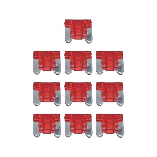 I[fBIt@ wq[Y 10A 10Zbg