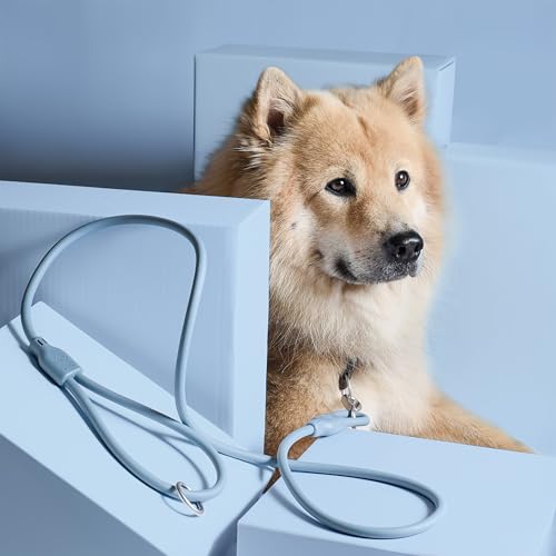 ne&no® Hundeleine 1,5 m Loft Design | Schmutz- & Wasserfest | Führleine für Hunde | Leine Hund | Dog Leash | Blau