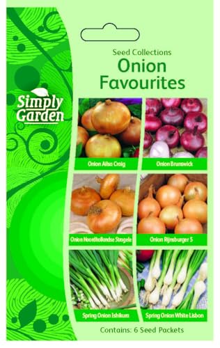 Onion Seeds 6 in 1 Variety Pack Ailsa Craig Brunswick Rijnsburger Noordhollandse Strogele Ishikura White Lisbon Heirloom Non-GMO Onion Seeds Variety Pack