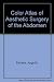 Color Atlas of Aesthetic Surgery of the Abdomen