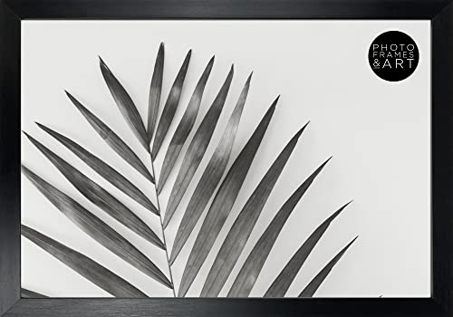 12x8"/ 30x20cm - GLASS Window - Modern Oxford Black Premium Photo Frame Portrait & Landscape (Outiside Measures 13x9")