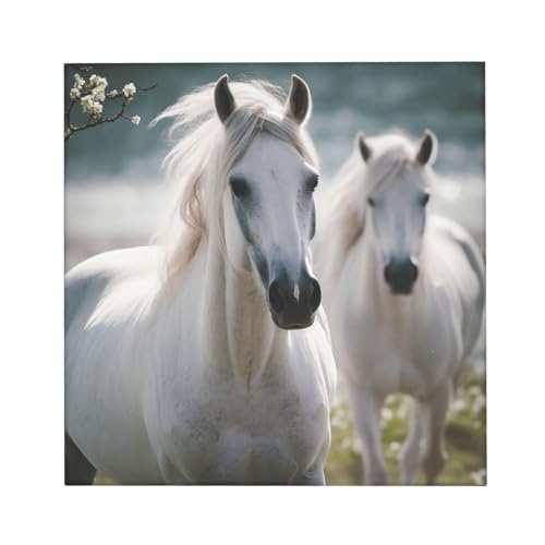 Toile murale chevaux blancs de qualité supérieure encadrée - 3
