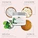 Face Cream for Women, Moisturizing & Anti-Aging - Aloe Vera, Avocado Oil, Coconut Oil, Vitamin E - Beauty Facial Skincare for All Skin Types - from Green Leaf (4 oz)
