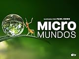 apple tv 2018 test  Micromundos