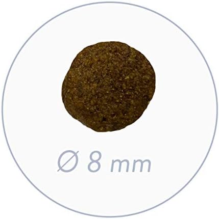 bosch HPC Mini Junior sucha karma dla psów do hodowli małych ras (do 15 kg), 1 x 1 kg