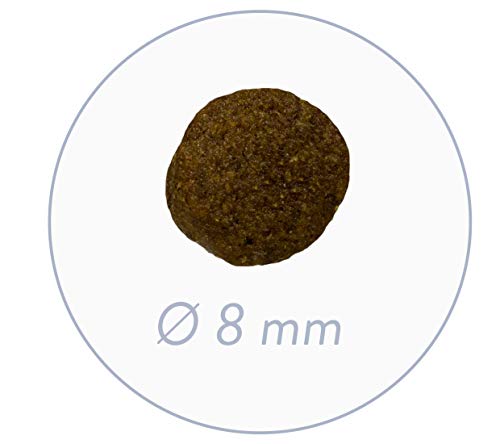 Bosch HPC Mini Junior | Hundetrockenfutter zur Aufzucht Kleiner Rassen (bis 15 kg) | 1 x 3 kg (Packung mit 2)