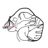 Wiring Harness Standalone Compatible with EV1 T56 DBC TH400 TH350 700R4 200-4R Transmission Or...