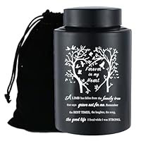 22,9 cm große Urne für menschliche Asche, Edelstahl, schwarz, Einäscherungsurne für Erwachsene, Andenken, Urne, Gedenk-Asche, Behälter bis zu 220 kg