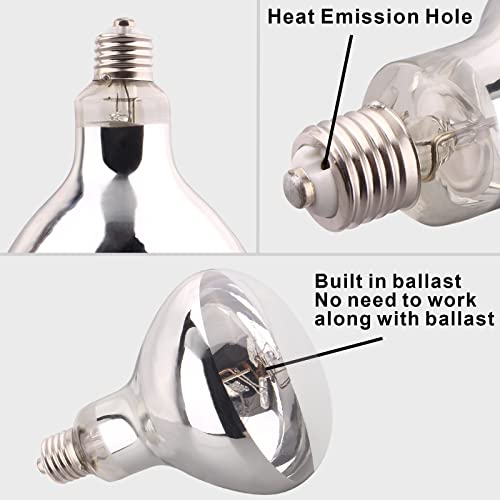 DERNORD Mercury Vapour Bulb Tortoise - Image 4