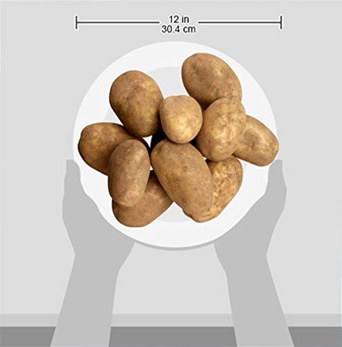 365 Everyday Value, Russet Potatoes, 5 lb Bag