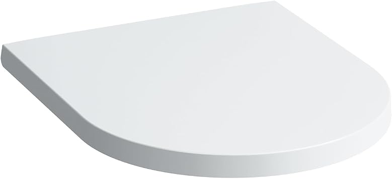 WC-Sitz mit Deckel, abnehmbar