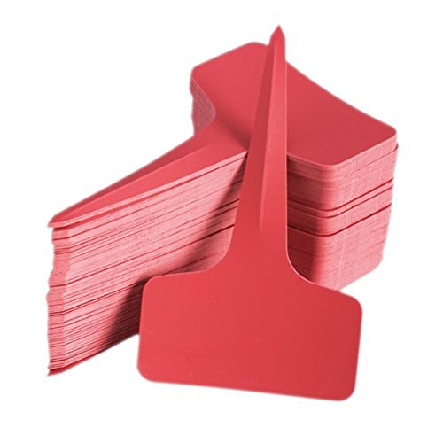 TOOGOO(R) 100pz 6 x10cm plastica T-tipo Etichette