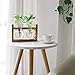 Ivolador Plants Terrarium Glass Bulb Terrarium with Retro Solid Wooden Stand Propagation Sation for Hydroponics Plants Desktop Home Garden Wedding Décor (2 Bulbs)