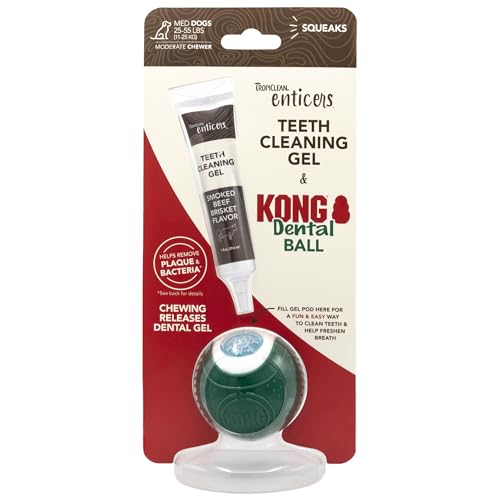 Image of TropiClean Enticers Kong Dental Ball Kit for Medium Dogs | Teeth Cleaning Gel | Smoked Beef Brisket Flavor | 1 oz.