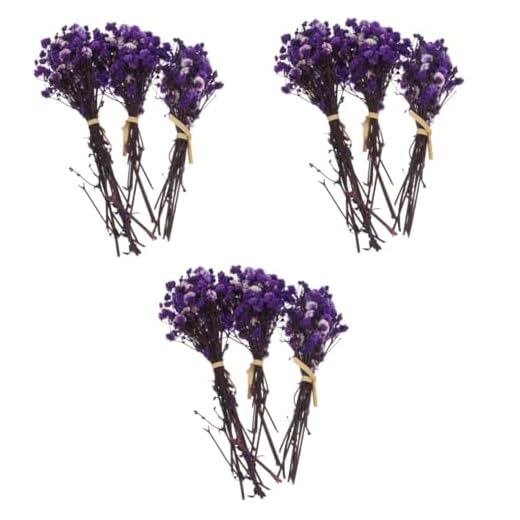 ABOOFAN 9 Ramos De Flores Secas Ramo De Flores Secas para Florero De Imitación Phragmites Tallos De Flores Preservadas Ramo para Novia Flores Artificiales Rojas Regalo De Novia Pequeño