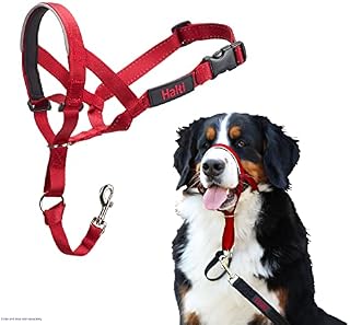 HALTI Headcollar Size 4 Black, UK Bestselling Dog Head Harness to Stop Pulling on the Lead, Easy to Use, Padded Nose Band, Adjustable & Reflective, Professional Anti-Pull Training Aid for Large Dogs