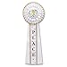 Beistle RD12 3rd Place Deluxe Rosette, 41/2 by 131/2-Inch