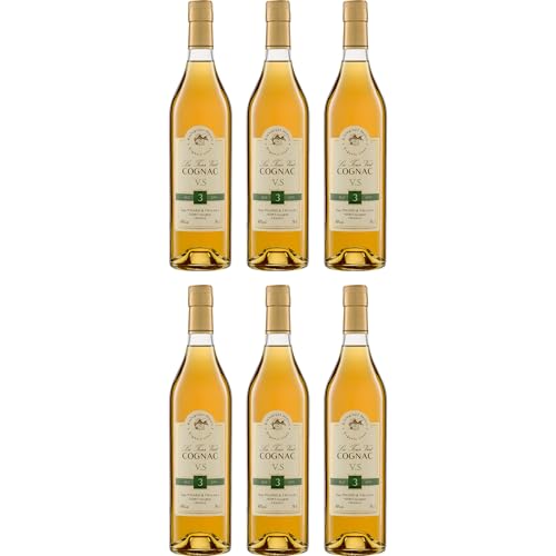 Guy Pinard & Fils Cognac VS Cognac mild BIO Frankreich inkl. FeinWert E-Book (6 x 0.70 l)